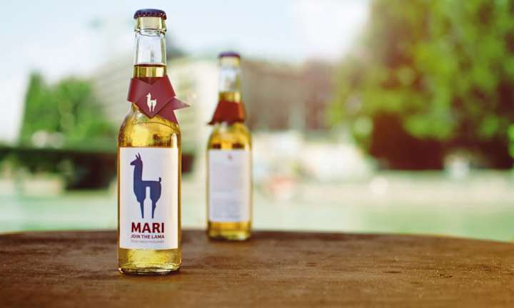 Cover image for Mari Brand Development and Marketing