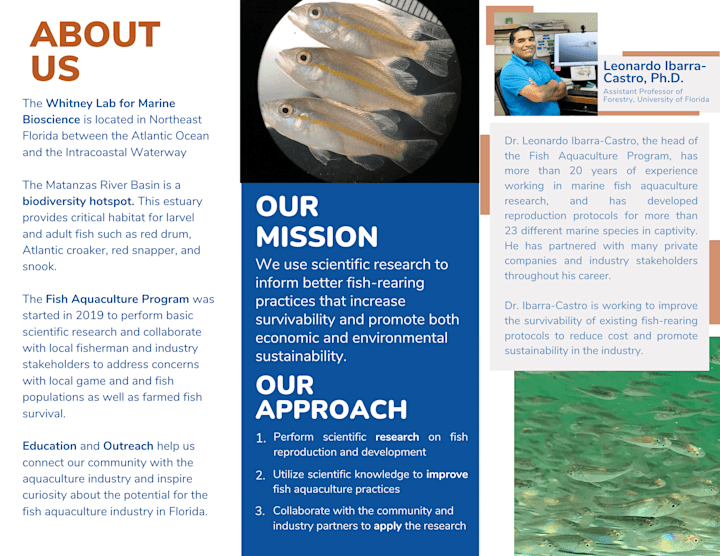 Cover image for Program Brochures - Aquaculture and Conservation 