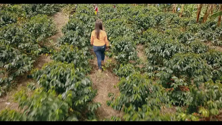 Cover image for IBM Foodtrust Farmer Connect Featurette on Vimeo