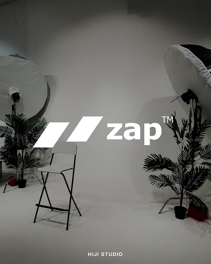 Cover image for Zap