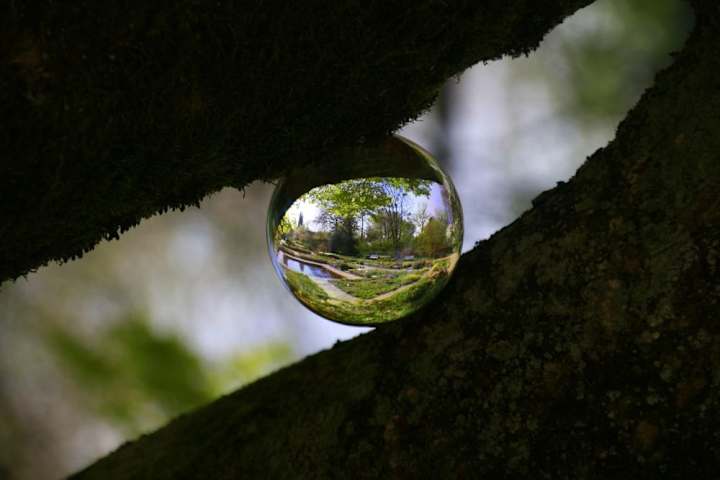 Cover image for Sharpening Perception for Inner Peace