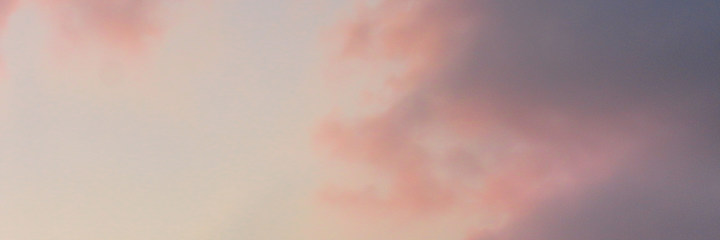Cover image for Wills & Trusts