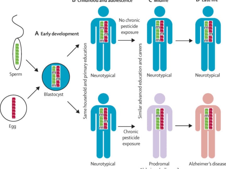 Cover image for Epigenetics of dementia: understanding the disease as a transfo…