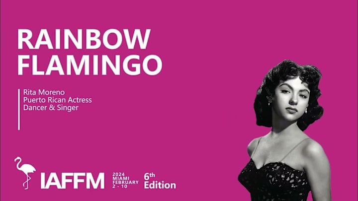 Cover image for RAINBOW FLAMINGO - Film competition Teaser