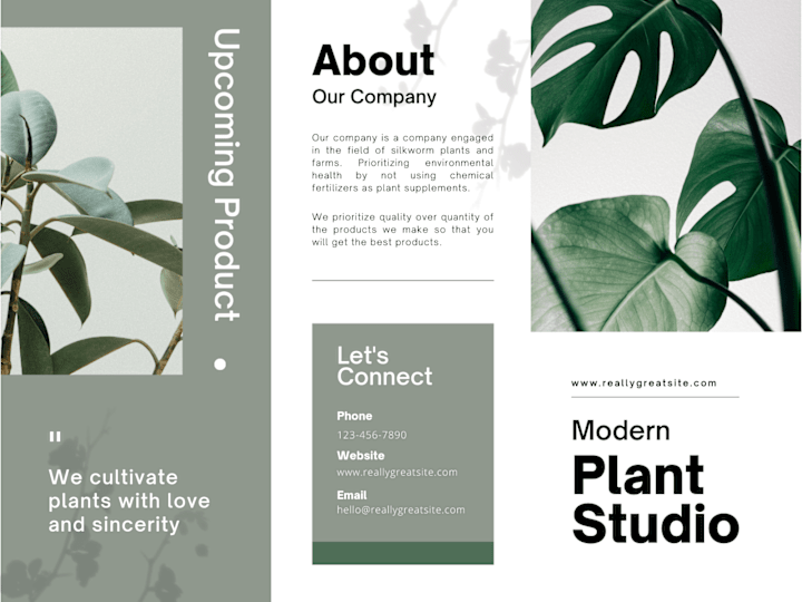 Cover image for Plant Studio