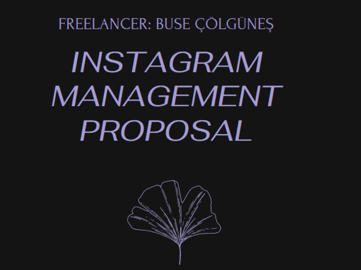 Cover image for Instagram Social Media Management