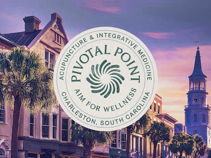 Cover image for Pivotal Point