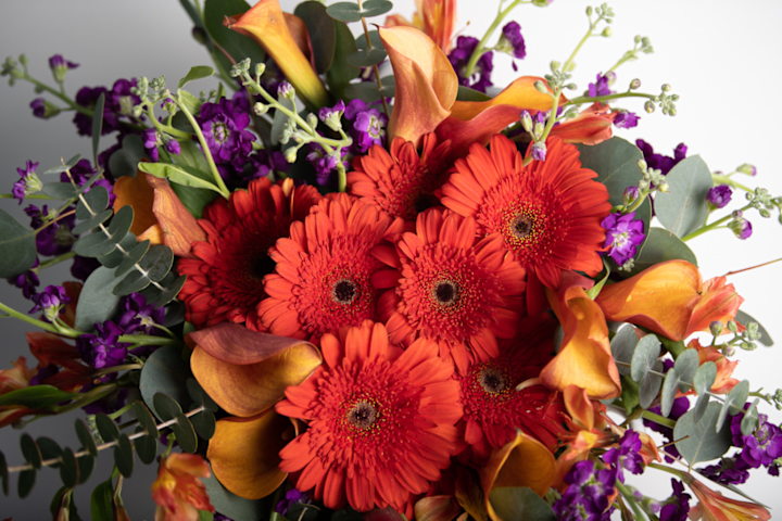 Cover image for Select Floral Stylings