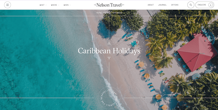 Cover image for Nelson Travel