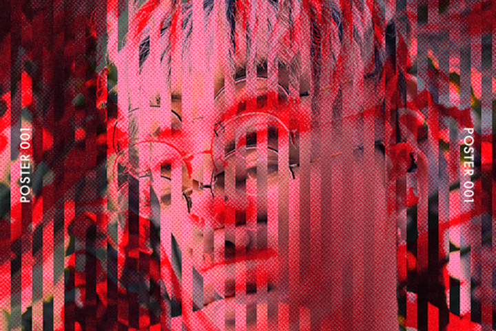 Cover image for The Creative Dump