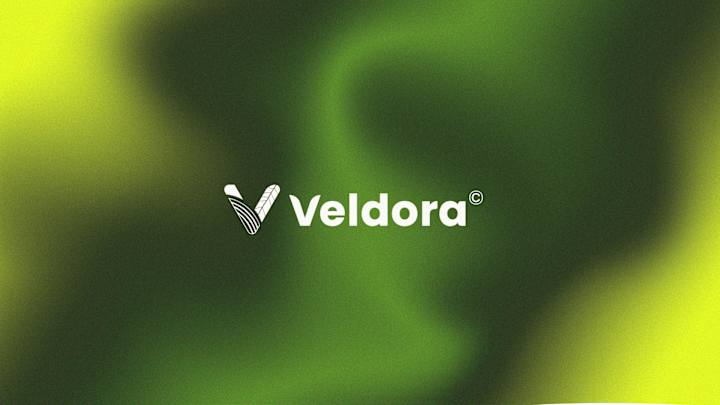 Cover image for Veldora || Brand Identity