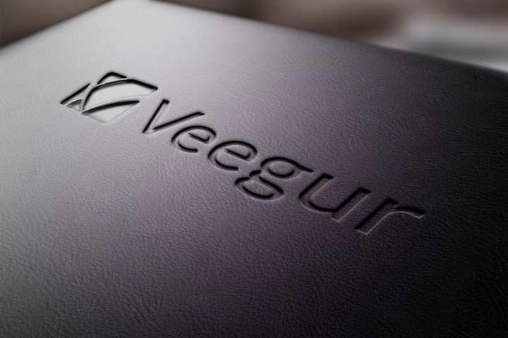 Cover image for Veegur Health | Brand Identity design