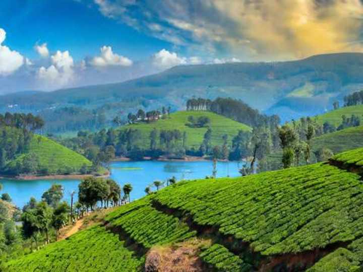 Cover image for Mysore to Ooty Cab