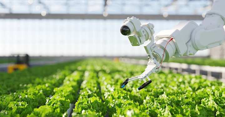 Cover image for Farms and Foods: AI’s Revolutionary Impact on Agro and Food.