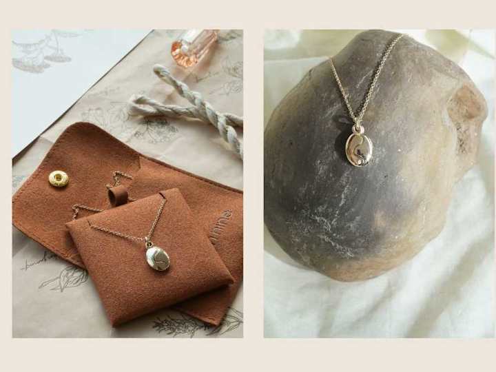 Cover image for The Locket Project