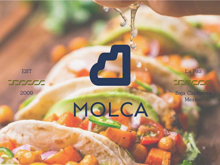 Cover image for Molca brand identity (1st Direction)