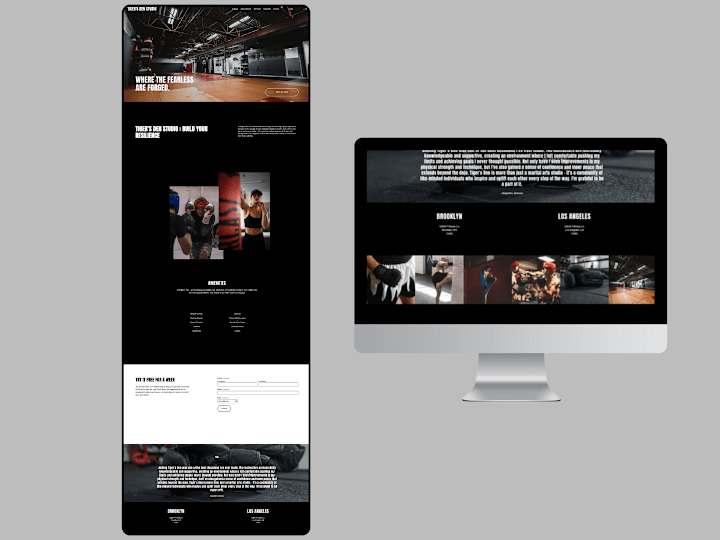 Cover image for Tigers Den Gym studio website design