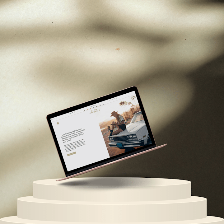 Cover image for Website Copy for Alina Carballo