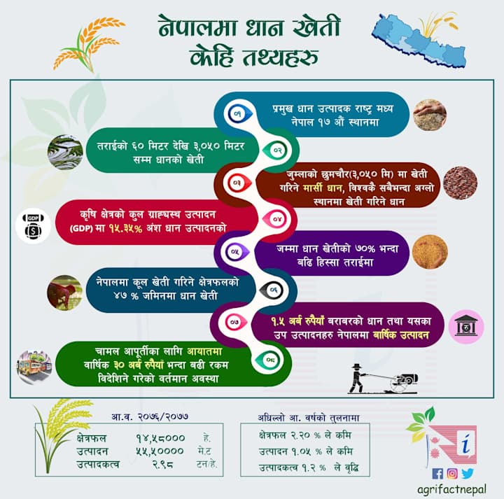 Cover image for Infographic Flyers Design