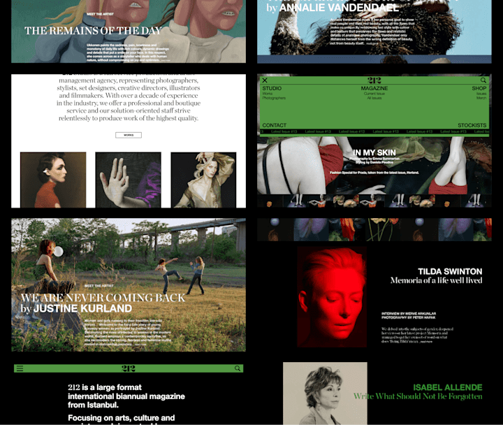 Cover image for Building A Website For A Magazine With Headless CMS and Online S