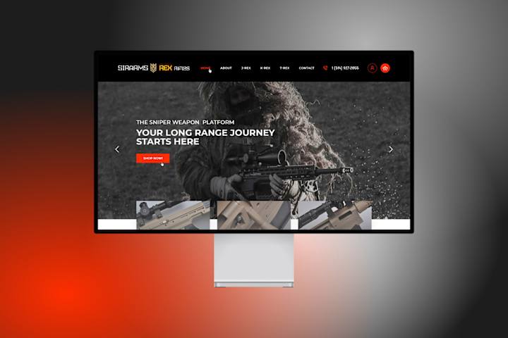 Cover image for Playful Web Design for SAGITTA RESEARCH INC