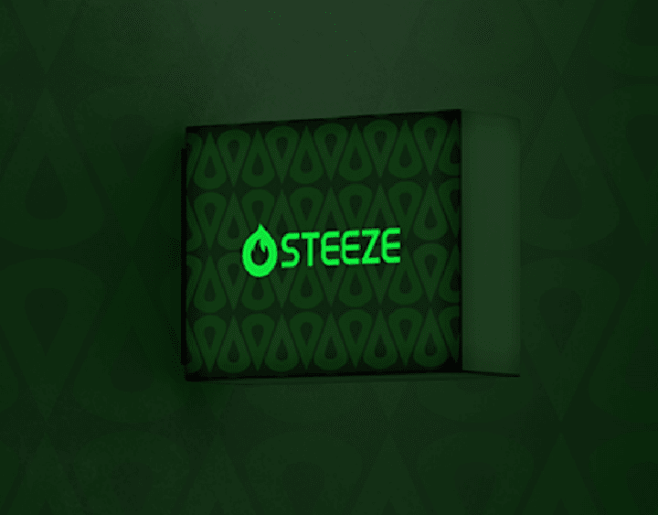 Cover image for STEEZE Brand Identity