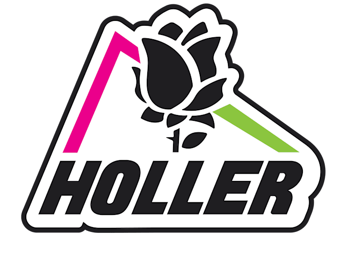 Cover image for HOLLER - Branding system
