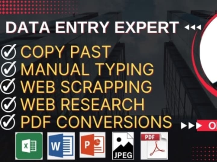 Cover image for  I will complete your data entry work