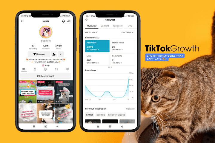 Cover image for TikTok Purr-fection Rocketstar🚀😻