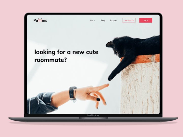 Cover image for Petter e-commerce Website