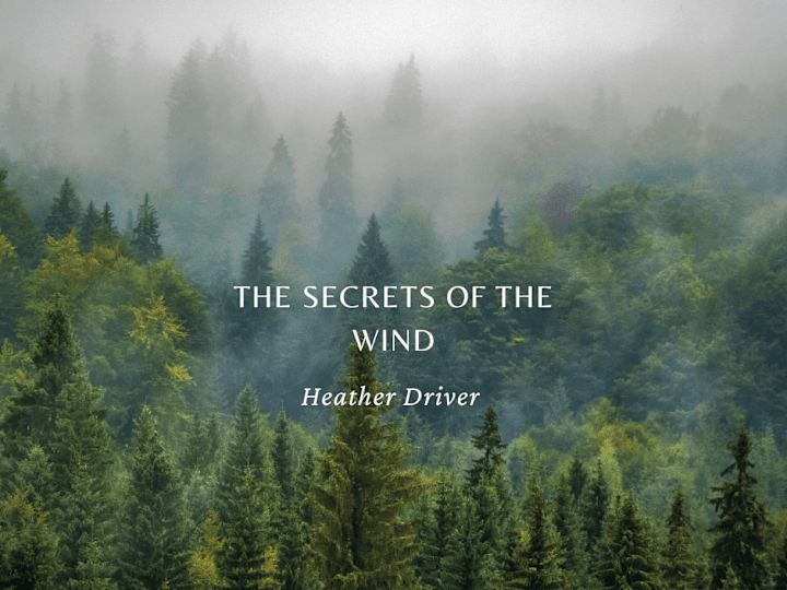 Cover image for The Secrets of the Wind