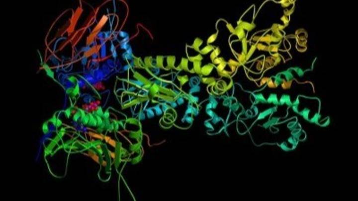 Cover image for AlphaFold 2: Revolutionizing Protein Folding Prediction