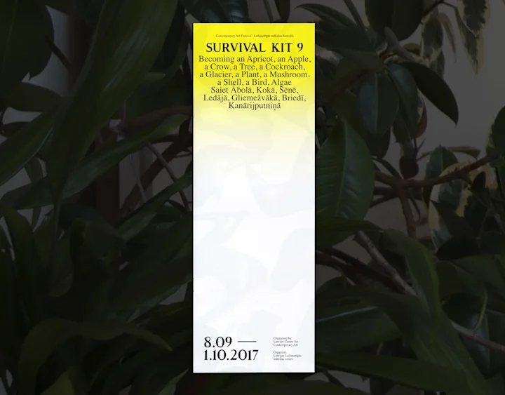 Cover image for Survival Kit 9
