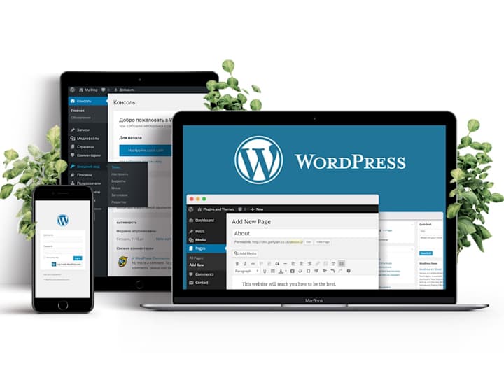 Cover image for Get Attractive & Responsive WordPress website for Your Business