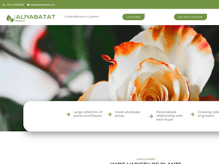 Cover image for ALNABATAT – Plants Whole Seller