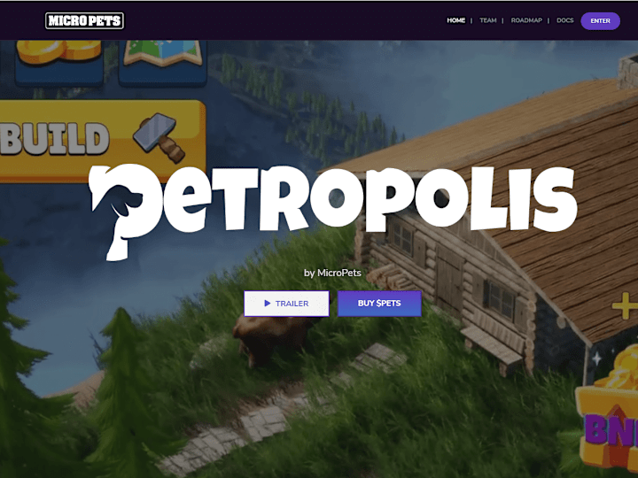 Cover image for MicroPets