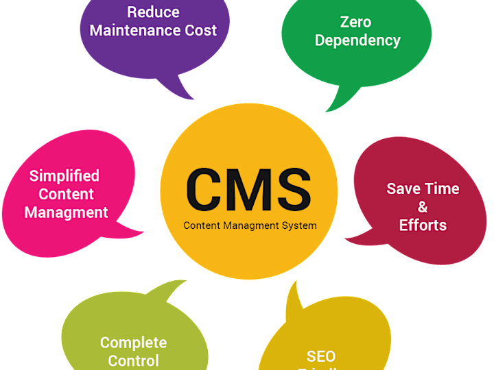 Cover image for Custom CMS Development