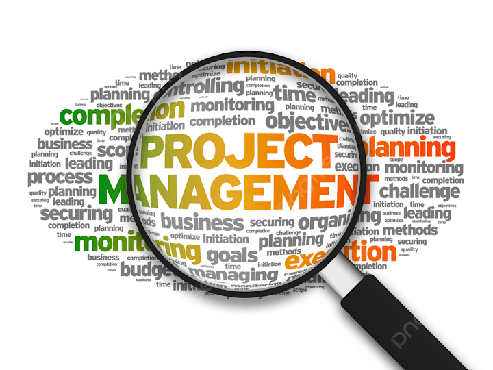 Cover image for Project Manager