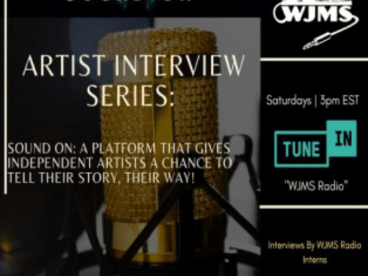 Cover image for Artist Interview Series 