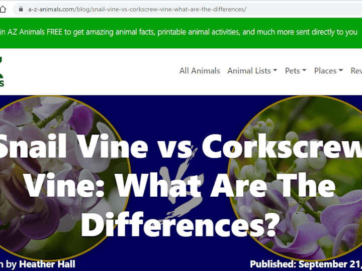 Cover image for Snail Vine vs Corkscrew Vine: What Are The Differences?