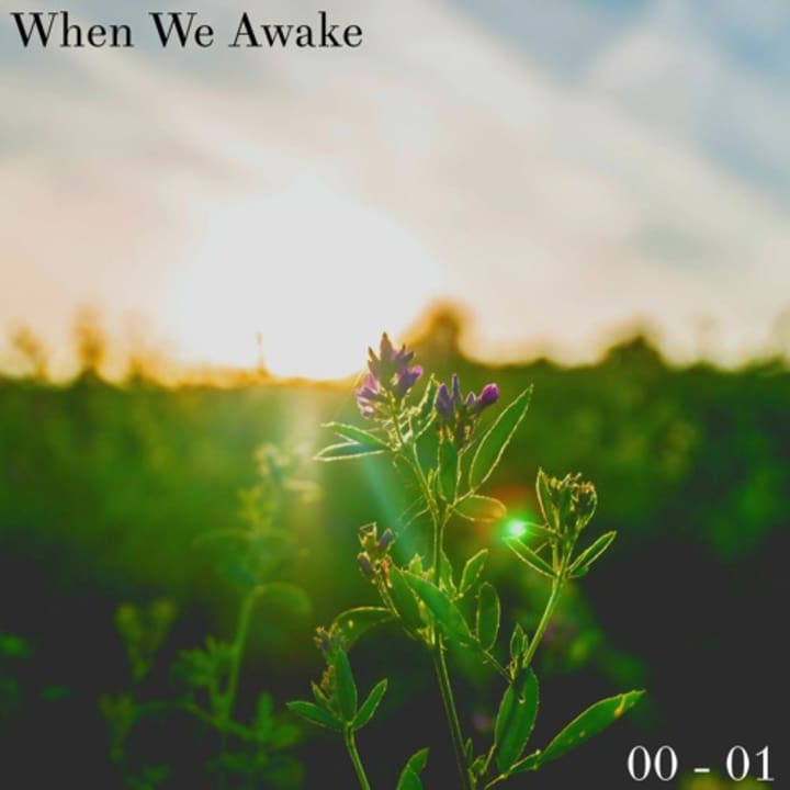 Cover image for When We Awake