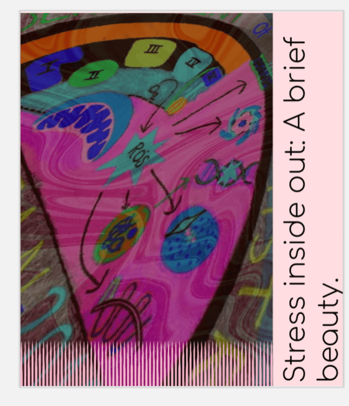 Cover image for STRESS INSIDE OUT: A BRIEF BEAUTY.