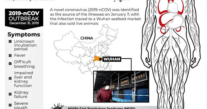 Cover image for CoronaVirus Outbreak: All you need to Know about the 2019 Coron…