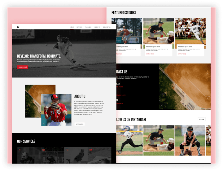 Cover image for Complete Web Design for Baseball Sports Academy