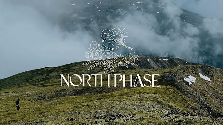 Cover image for North Phase : Influencer Branding