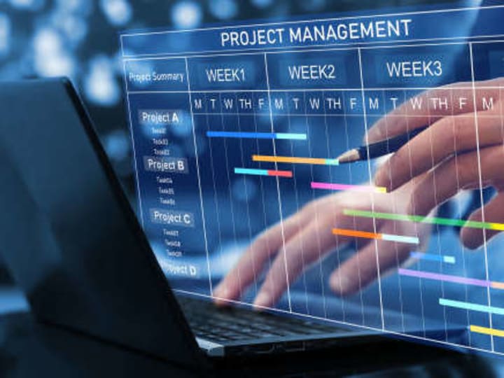 Cover image for Detail-Oriented & Experienced Project Manager