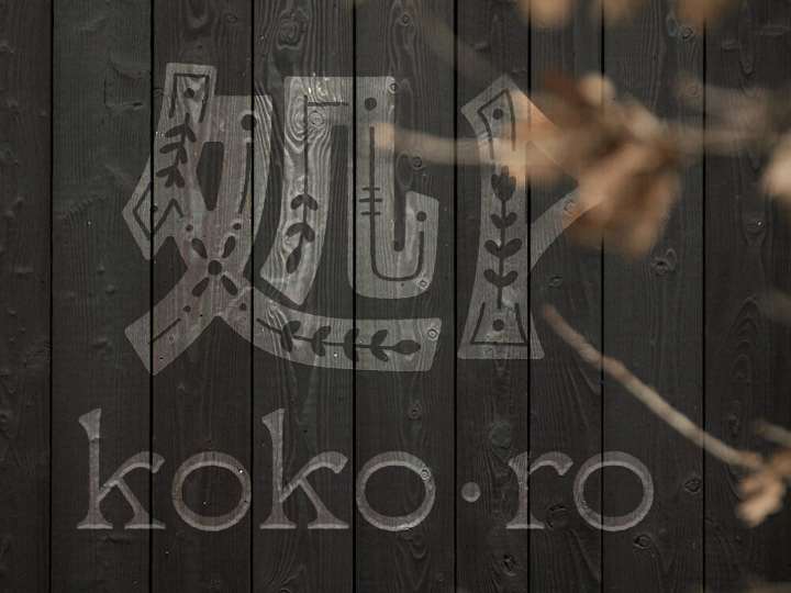 Cover image for Koko·ro