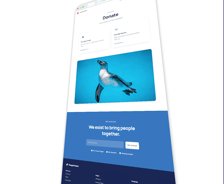 Cover image for 🐧💙 PenguProtect Web Design