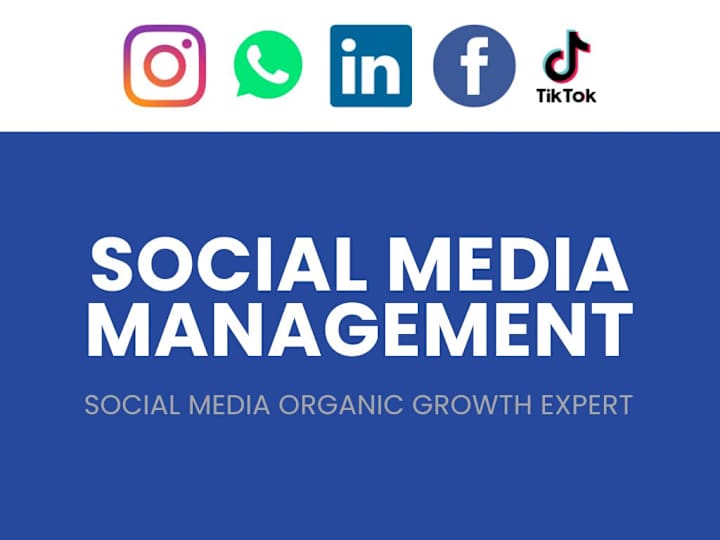 Cover image for Social Media Management | Social Media Marketing Strategist