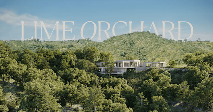 Cover image for Lime Orchard | Property Branding + Website